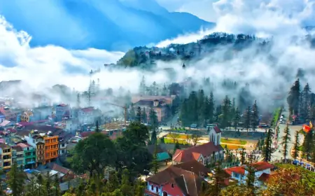 Trekking in Northern Vietnam: Best Trails & Tips