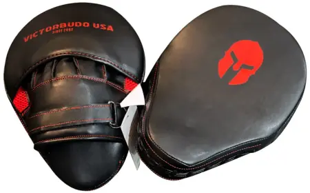 Choosing the Right Boxing Mitts for Beginners vs. Professionals