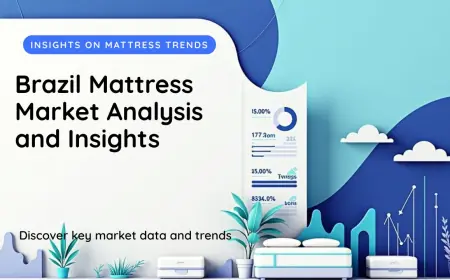 What Does the Forecast Suggest About the Size, Share, and Growth of Brazil Mattress Market from 2025 to 2033?