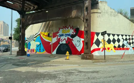 The Growing Trend of Wall Murals in Davenport: What You Need to Know