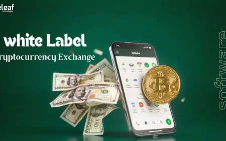 Why Do Startups Choose White Label Crypto Exchange Software for Rapidly Launching Trading Platforms?