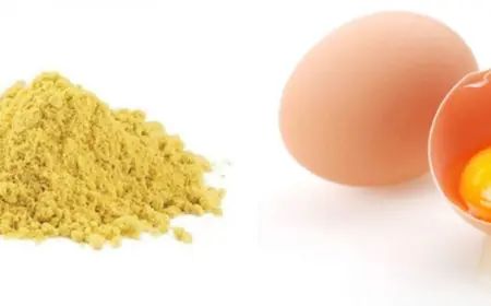 Dried Eggs Market Long-Term Outlook with Global Growth Trends, Consumption Patterns and Strategic Opportunities