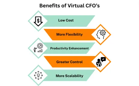 How Can a Virtual CFO Benefit Startups and Growing Businesses?