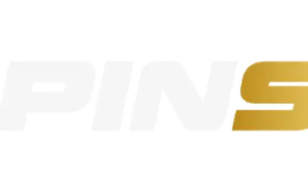 Spinstar | A Digital Platform for Daily Updates & Insights