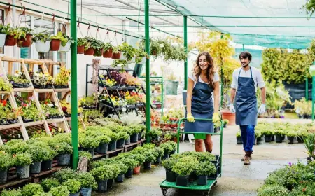 Explore the Best Garden Centers Appleton Has to Offer for a Thriving Home Garden