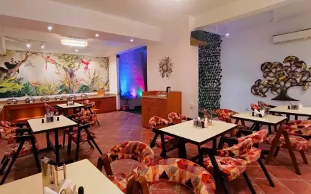 Why Service Apartments Are the Perfect Blend of Comfort and Convenience for Long Stays