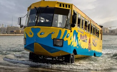 Global Water Bus Market 2030 Forecast: Demand & Challenges