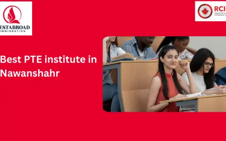 Open Up World Opportunities with Nawanshahr's Top PTE Institute