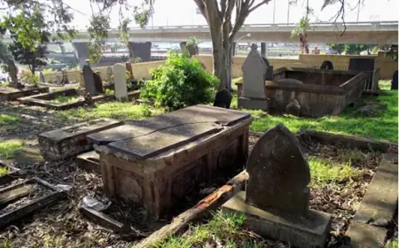 "I Placed a CCTV Near My Late Mum’s Grave and Later Caught My Auntie in the Act"