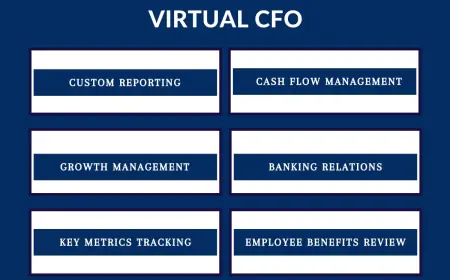 Which is the Better Choice for Your Business- Virtual CFO Services vs In House CFO?