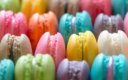 Exploring the Food Flavors Market: Trends, Growth & What’s Next