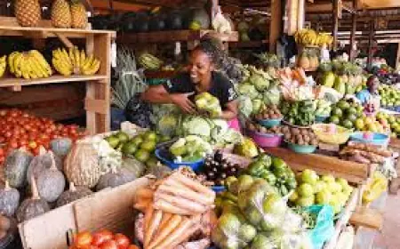 “From Roadside Vegetable Seller To Real Estate Entrepreneur” Grace Opens Up About Her Path To Success