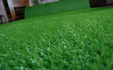 How Artificial Grass Dubai Helps Create a Safe, Hypoallergenic Outdoor Space