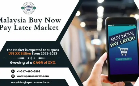 Malaysia Buy Now Pay Later Market Growth, Size, Share 2033