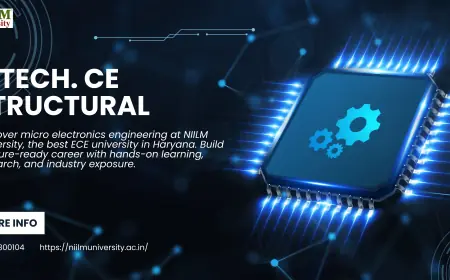 Micro Electronics Engineering in Haryana – NIILM University