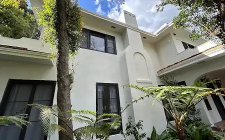 Professional Plastering Services That Elevate Every Space