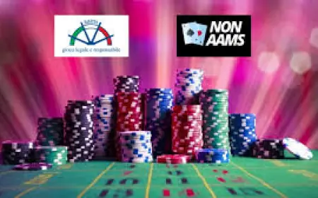 I Migliori Siti Non AAMS del 2025: Come Scegliere e Cosa Considerare