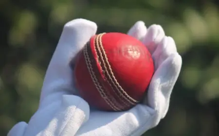 The Science of Batting Dive Into Cricket's Most Intricate Art Revealed