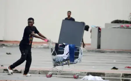 Stolen Tv Returned Within a Day. Here’s How It Happened