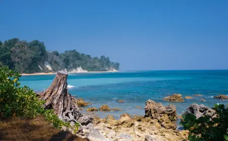 Discover Island Bliss with Andaman Packages from Bangalore and Mumbai