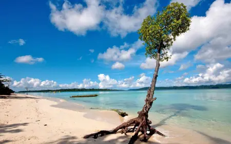 Explore Island Bliss with Andaman Tour Packages from Bangalore and Mumbai