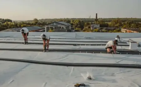 Expert Project Management Services for Seamless Results