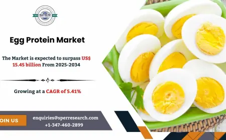 Outlook of Egg Protein Market with Trends Analysis 2034