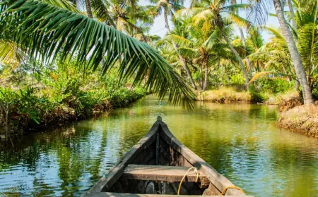 Kerala’s Coconut Connection: Food, Drinks & Culture