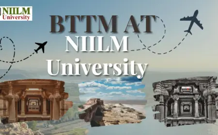 Bachelor of Travel & Tourism Management Course in Haryana | BTTM at NIILM University