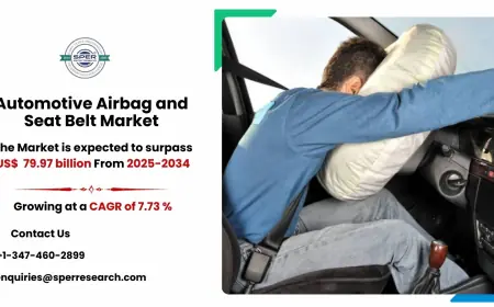 Automotive Airbag and Seat Belt Market Insights: Forecast by Application and Region