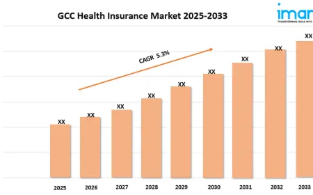 GCC Health Insurance Market Size, Share, Growth, and Forecast 2025-2033