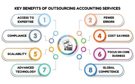 Why Choose Offshore Accounting Services for Business Growth?