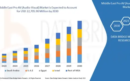 Middle East Pro AV (Audio-Visual) Market — Outlook 2024–2032