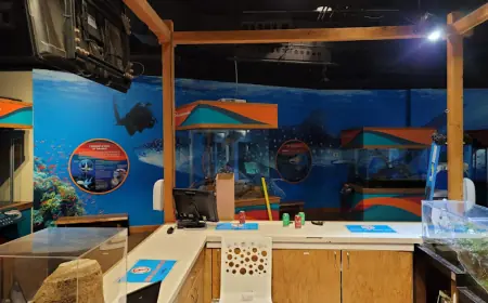 Print That Pops: Brochures, Banners & Outdoor Signs That Get You Noticed