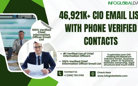 Everything You Need to Know About the CIO Email List from InfoGlobalData