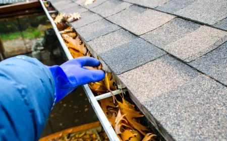 Roof Cleaning for Long-Term Protection and Peace of Mind