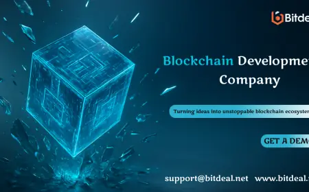 Beyond Crypto: Blockchain Development Company Solutions for Real-World Applications