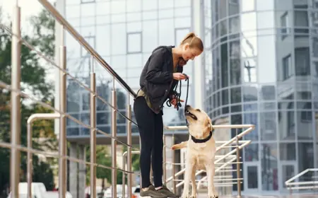 Is Your Pet Safe? The Smart Way to Protect Your Furry Family Member