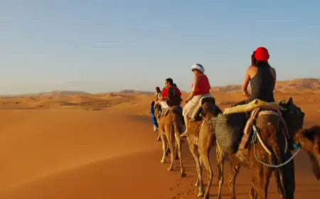 Luxury Guided Tours: The Ultimate Way to Travel in Style