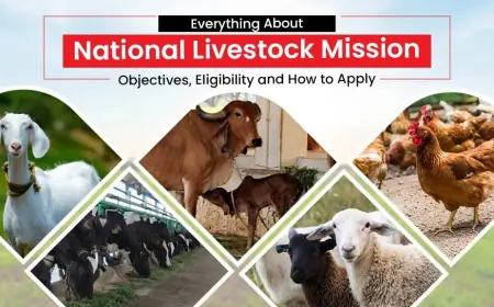 Read How The National Livestock Mission Work for Productivity