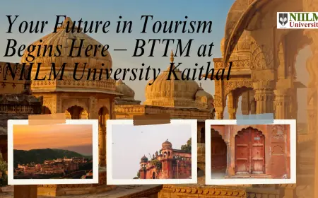 Bachelor of Travel & Tourism Management Course in Haryana | BTTM at NIILM University