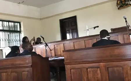 “How I Managed to Win My Court Battle When Everything Seemed Hopeless”