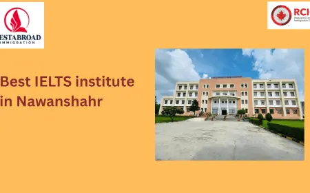 Master Your Score with the Best IELTS Institute in Nawanshahr: Why Nestabroad Leads the Way