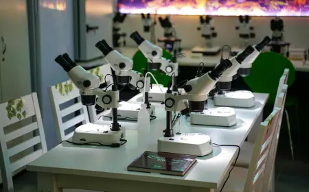 Exsrtel Lab Solution & Innovation Driving Excellence in Dubai