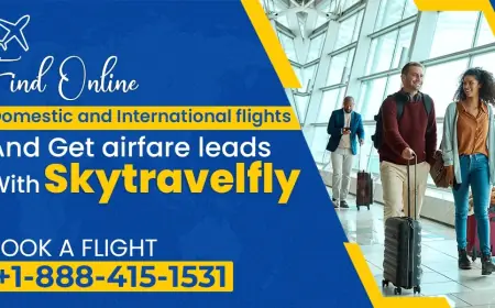 What is Delta Airlines Cancellation Policy?