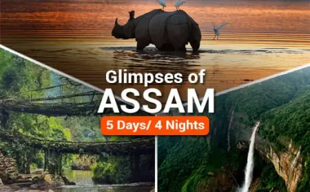 Book the Perfect Kaziranga Tour Package for Wildlife Fun