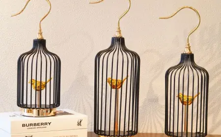 Home Decor: Redefining the Beauty of Your Home