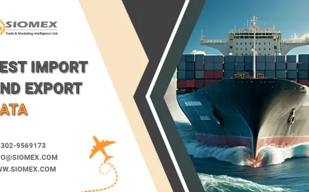 How to use import export data to engage your audience