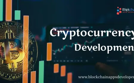 The Evolution of Cryptocurrency Development from Experiment to Infrastructure