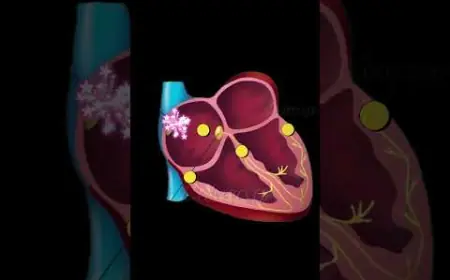 Atrial Fibrillation (Afib) market growth trends, technological innovations, and regional opportunities analysis